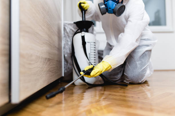 Best Emergency Pest Control  in Chester, NY