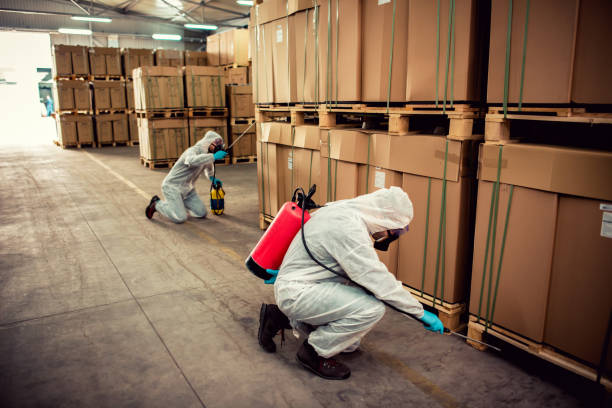 Best Wildlife Control Services  in Chester, NY