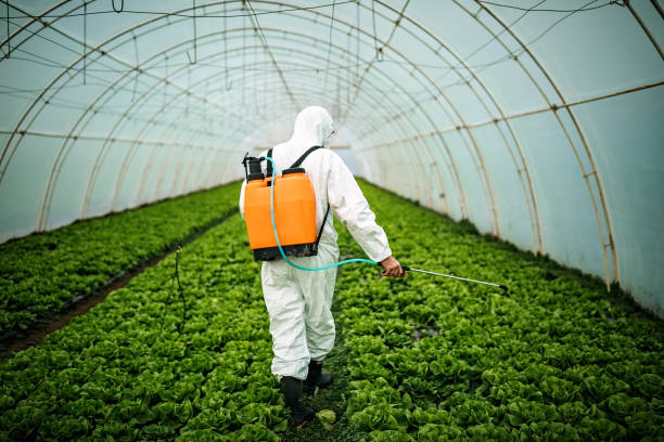 Best Best Pest Control Companies  in Chester, NY