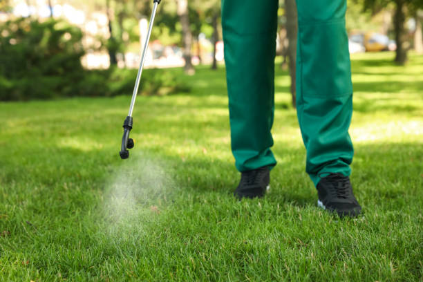 Best Affordable Pest Control Services  in Chester, NY