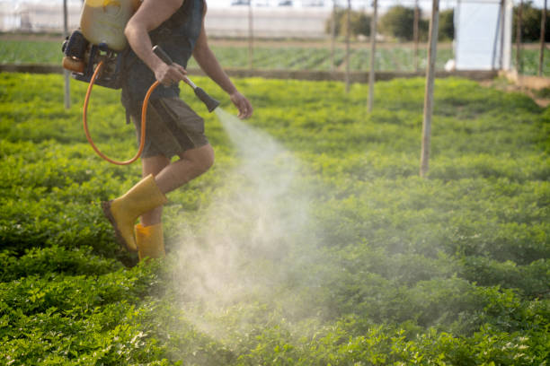 Best Pest Prevention Services  in Chester, NY