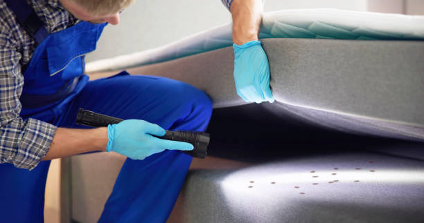 Best Residential Pest Control  in Chester, NY