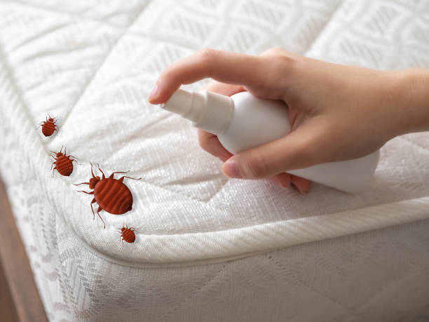 Professional Pest Control in Chester, NY