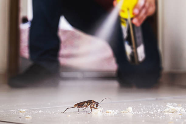 Best Commercial Pest Control Services  in Chester, NY