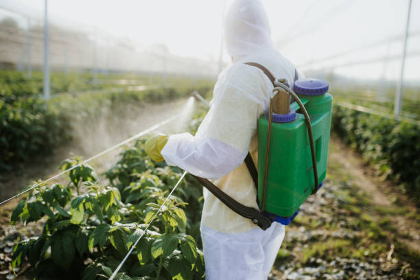 Best Best Pest Control Companies  in Chester, NY